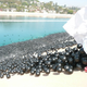 Illustration for article titled 400,000 Bouncy Black Balls Invade Reservoir to Save Los Angeles From Cancer Water